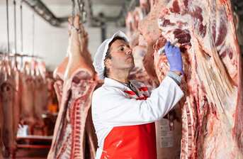 Práce na jatkách je obzvlášť riziková. Jak se při ní co nejlépe chránit?