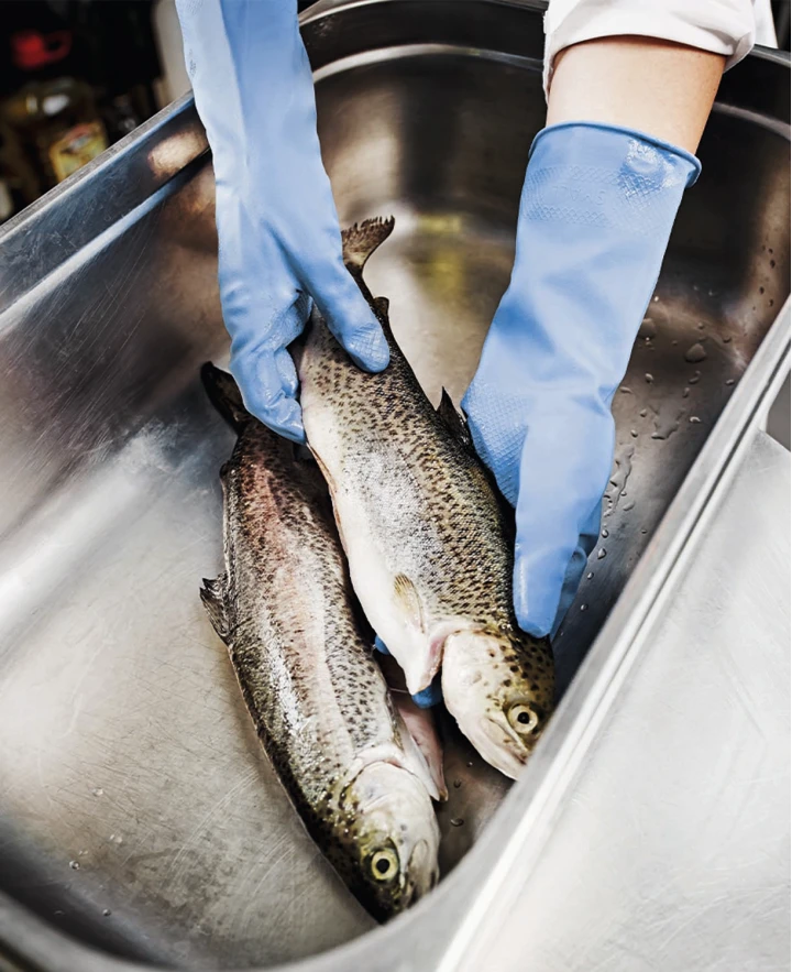 Rukavice do domácnosti SEMPERVELVET